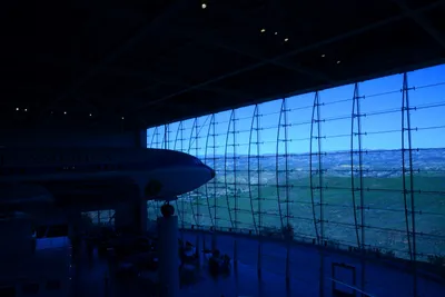 DSC_1142 (Large).JPG